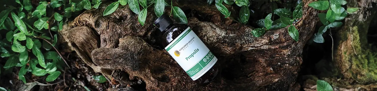 Sunflower Meadows Herb Farm Propolis Liquid Herbal Supplement
